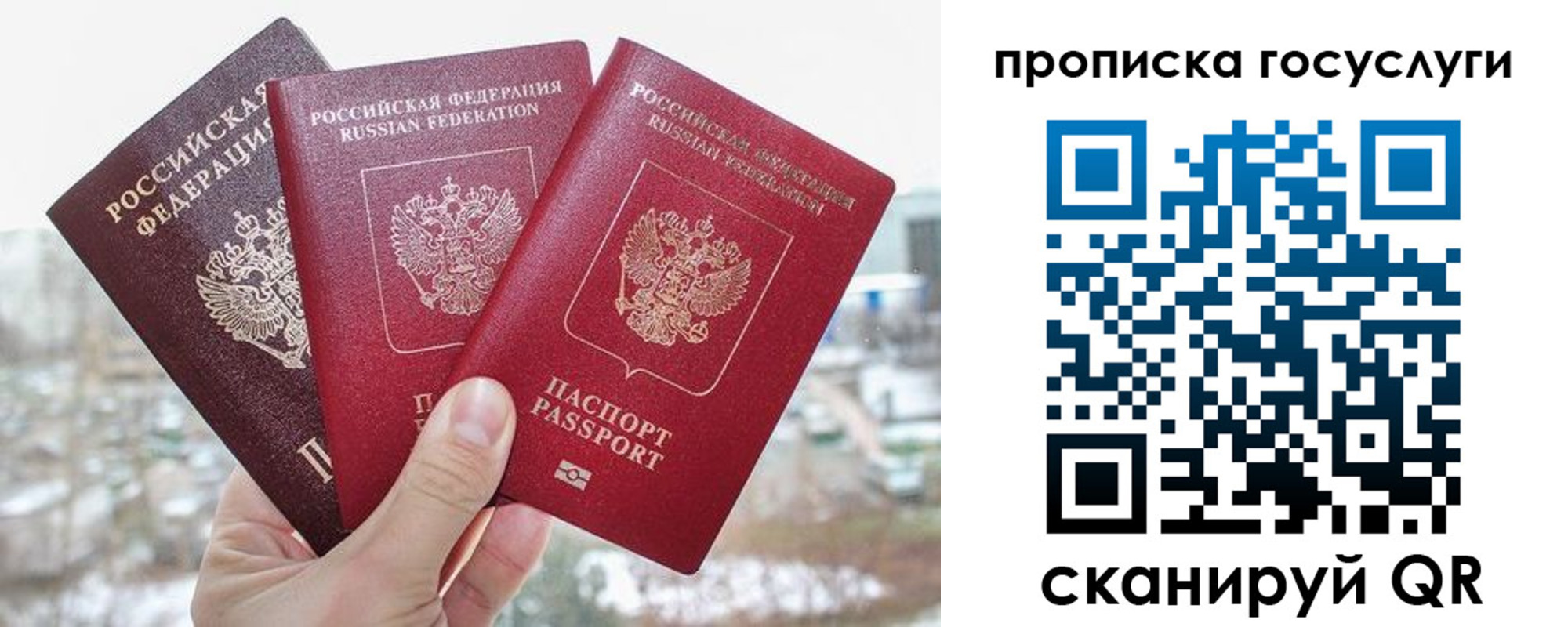 прописка законно в Большом Камне